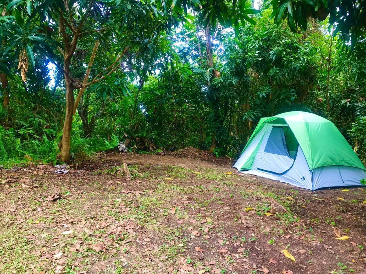 Jubilee Campsite Swim & Paint Las Piedras エクステリア 写真